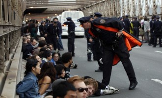 Muhamed Fazlagić : Zašto bosanski plenumi neodoljivo podsjećaju  na  propali Occupy Wall Street ?