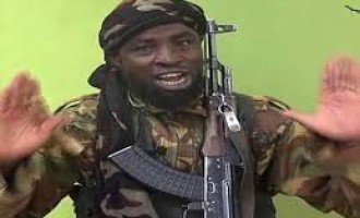 Osman Softić : Boko Haram, pijun u nadmetanju SAD-a i Kine
