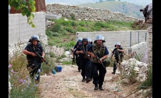 Čudo u Albaniji : Kako je pala ‘republika kanabisa’
