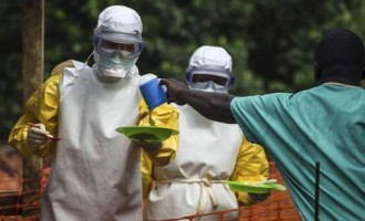 Nada za čovječanstvo : Eksperimentalni lijek za ebolu izliječio svih 18 majmuna