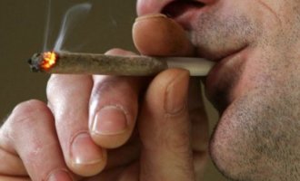 Naučnici srušili ‘mit’: Marihuana je itekako opasna za zdravlje !