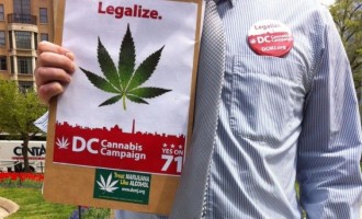Washington u novom ozračju : Marihuana legalizovana u glavnom gradu SAD