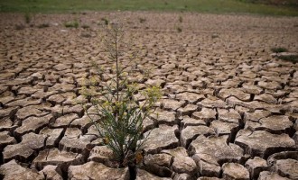 Nezapamćena suša i akcija bez presedana :  Prvi put u istoriji Kalifornije uvedena  restrikcija potrošnje vode  (Video)