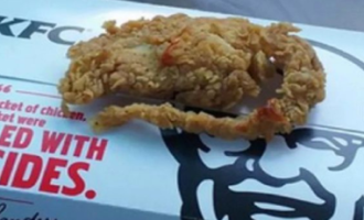 Podvala za restorane KFC: “Štakor” je ustvari piletina?