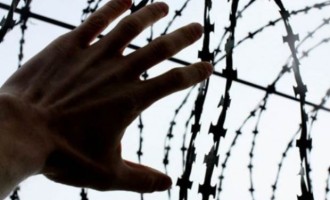 Mađarska kao primjer : Skoplje razmatra ogradu i vojsku na granici