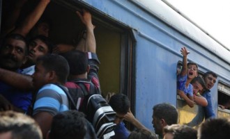 Drama u Đevđeliji : Tuča migranata za mjesto u vozu za Srbiju