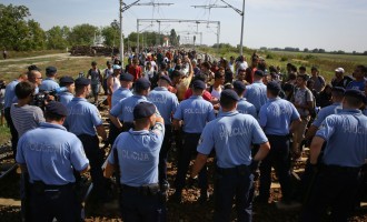 Pristiglo više od 11.000 izbjeglica : Hrvatska zatvorila sedam graničnih prijelaza sa Srbijom