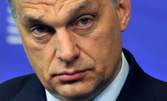 Premijer Mađarske  Orban: Ne želimo mnogo muslimana u Mađarskoj