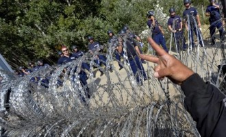 Haos na prelazu Horgoš : Mađarska policija upotrijebila vodene topove