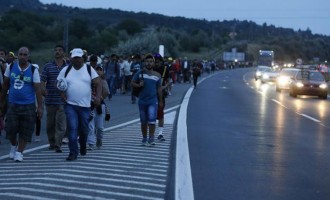 Šalju autobuse : Marš izbjeglica natjerao Mađare da popuste ! (Video)