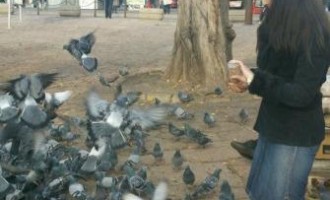 Naida Kurdija : Ne spašavajte me od golubova, nego od kukavica