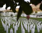 Ambasador Lagumdžija pisao ambasadorima svih zemalja članica UN-a : Kultura sjećanja na žrtve genocida u Srebrenici nije i ne smije biti kultura poricanja, već kultura sjećanja !