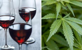 “Zelena groznica” i borba za radnike : Čaša vina ili kalifornijski joint?