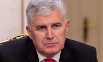 Dragan Čović: Legitimno predstavljanje je prioritet svih prioriteta