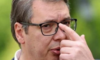 Predsjednik Srbije u strahu :  Strah me da će do nove Staljingradske bitke doći brže nego što se misli