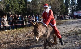 U Čapljini održana utrka Djeda Mrazova: “Bitno je trenirati sa magarcem” (FOTO)