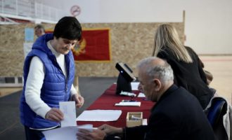 Parlamentarni izbori u Crnoj Gori: Najviše mandata za Pokret Evropa, veliki uspjeh Bošnjačke stranke