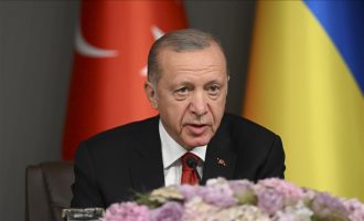 Erdogan nakon susreta sa Zelenskim: Ukrajina zaslužuje članstvo u NATO-u