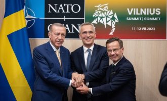 Stoltenberg objavio da je Erdogan popustio : Turska pristala  da Švedska uđe u NATO