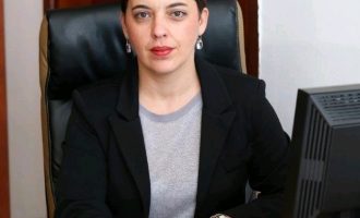 Dragana Kokot: Položaj žena na tržištu rada