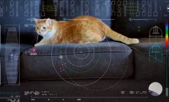 Istorijska prekretnica : NASA je za testiranje komunikacija iz dubokog svemira odabrala žutog mačka (VIDEO)