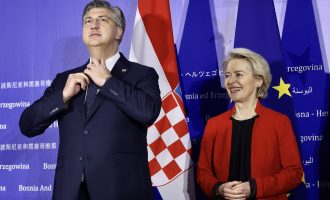 Der Standard: Kako HDZ preko EU ponovo pokušava postići svoj cilj u BiH