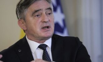 Željko  Komšić o potezu Plenkovića: Sila neće proći!