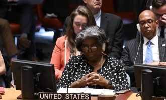 SAD ponovo stavile veto na nacrt rezolucije Vijeća sigurnosti UN-a o Gazi i poslale svoju verziju