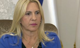 Željka Cvijanović kontra Schmidta : “Vratio nas je tri koraka unazad”