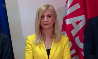 Duška Jurišić: Zločini seksualnog zlostavljanja djece ne mogu se riješiti novcem