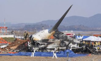 Jedna od najsmrtonosnijih katastrofa  : Najmanje 177 osoba poginulo u avionskoj nesreći u Južnoj Koreji