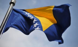 Važan poziv bh. dijaspori: Zastava BiH u svakoj američkoj saveznoj državi