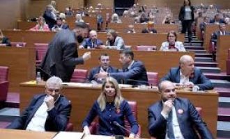 Hrvatska nije priznala Palestinu : Protiv su glasala čak 73 zastupnika