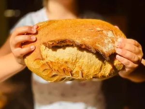 U svijetu koji nas melje tehnologijom: Nauka pokazuje da našim mozgovima treba rad rukama