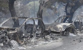 USKOK provjerava sumnju na terorizam : Poljakinja s još trojicom podmetnula 10 požara