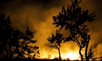 Katastrofa nan pomolu : Gasitelji na području Konjica gube bitku s vatrom