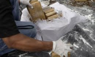 Rekordan ulov : U luci Anverpen zaplijenjeno osam tona kokaina