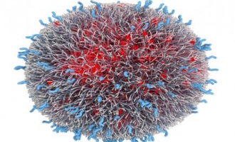 Univerzitet Stanford : Stvoreno antitijelo koje ubija svaki oblik tumora