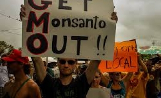 Monsanto izmakao kontroli : Obama potpisao zakon koji štiti proizvođače genetski modificirane hrane
